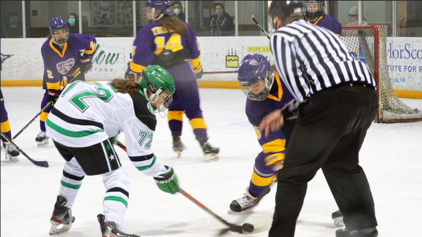 Dallas Stars | Girls Elite Program